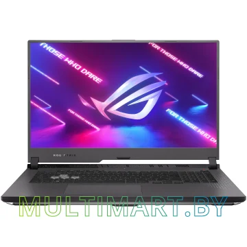 Игровой ноутбук Asus ROG Strix G17 (G713RC-HX067)